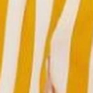 Meet your Posher, Miley